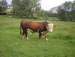 16791_1_small